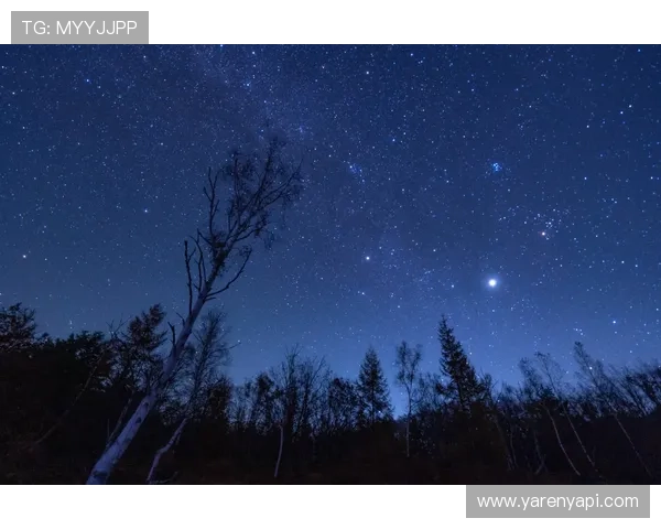 星空官网入口：轻松访问最新星空资讯与天文资源的便捷通道