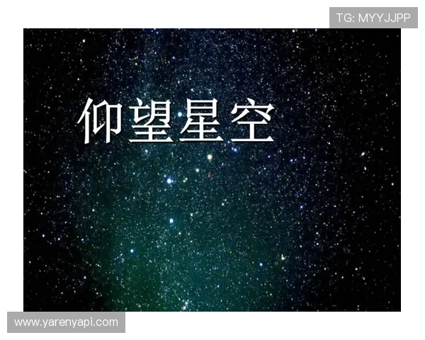 用户反馈与星空体育官网app:分析大家对该应用的使用感受与建议