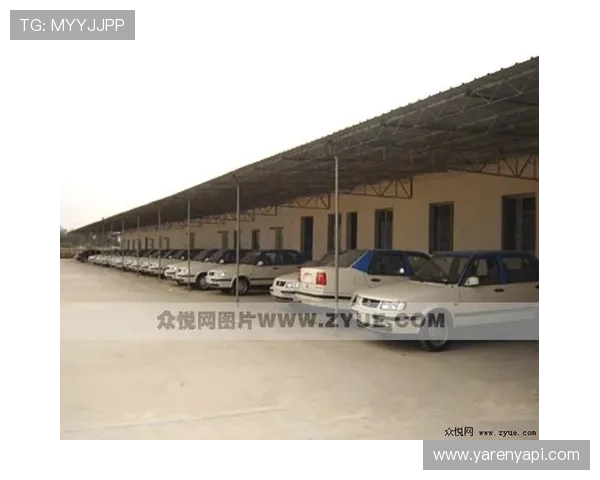 星空体育手机登录遇到问题怎么办快速解决指南