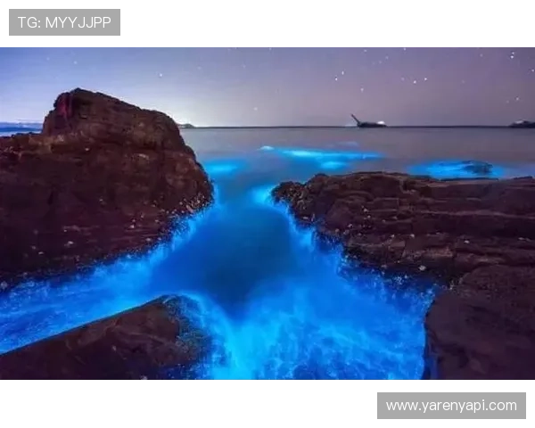 星空官方网站入口网址官方最新版本下载及安全访问指南