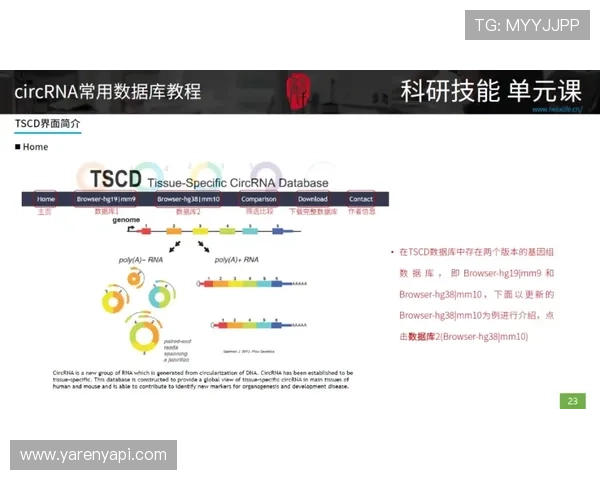 如何快速顺利完成ued体育网页版登陆流程指南